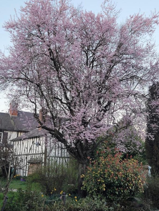 Les Gites De L'Herperie Blicourt エクステリア 写真